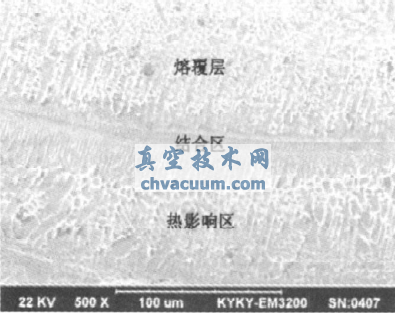 ǿ���˷��ܷ����NOREM02�����۸��������о�