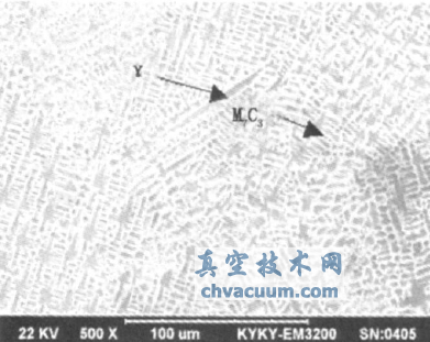 ǿ���˷��ܷ����NOREM02�����۸��������о�