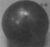 DN50���ķ����Ч������ĥ����