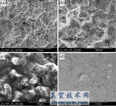 断口的扫描电镜形貌