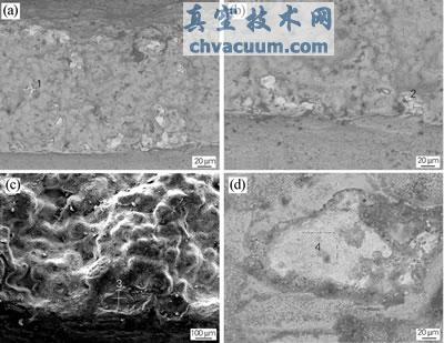 阀杆断口处的富铜相