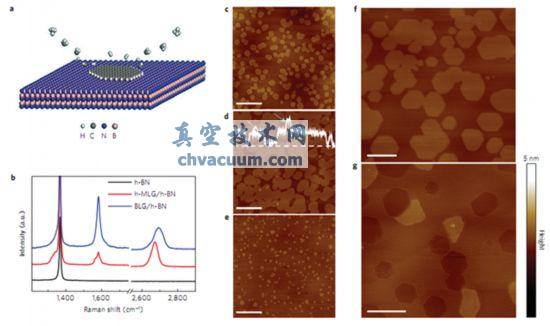石墨烯在六方氮化硼上的外延生长示意图