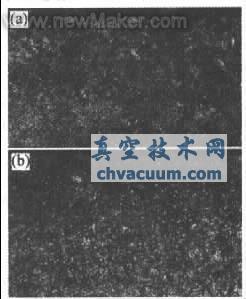 �����ѧ��΢��֯