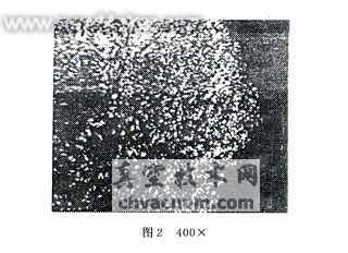 �����ֳ�����̼����¹���