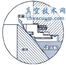 ��������Թ����򷧷����ṹ��Ҫ��