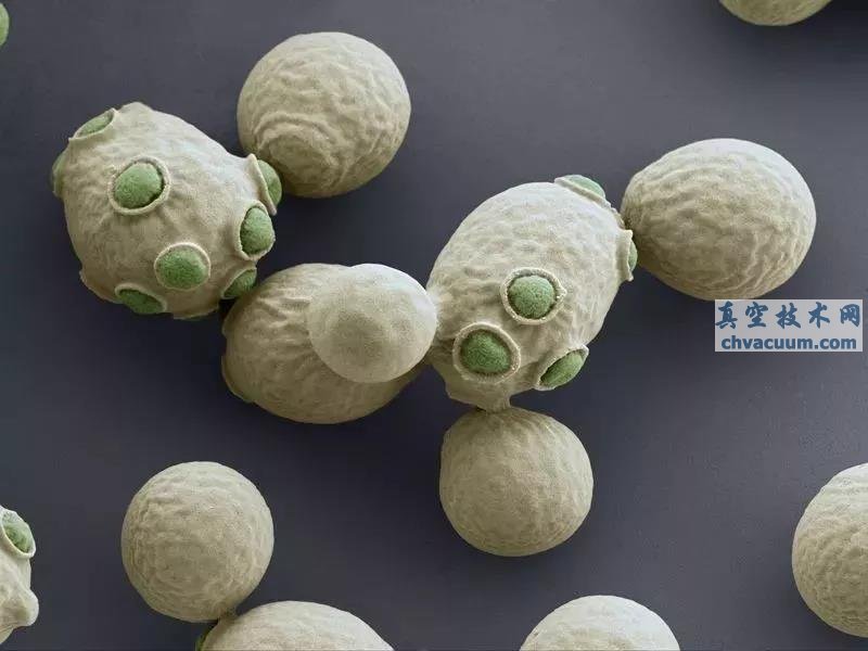 ��ѧ�������Ʊ��ĺϳɽ�ĸ