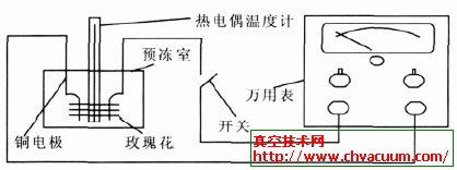 共晶点温度测量装置