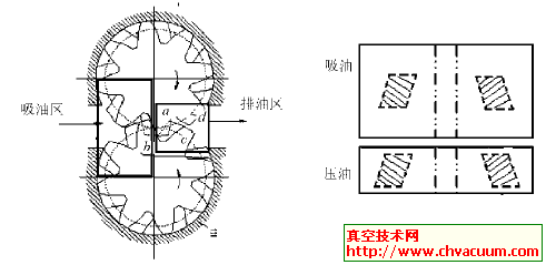 双斜齿轮泵的吸排油过程