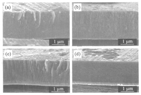 碳化钒薄膜的截面SEM像