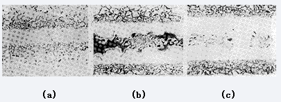 用BNi-1a钎料钎焊的钎缝组织