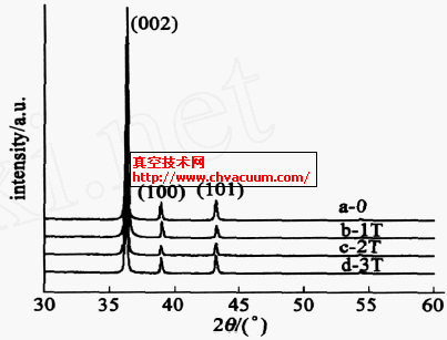 不同磁场下制备的Zn 薄膜XRD图谱