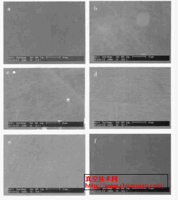 ��Ĥ��Ʒ��SEMͼ��