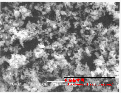 AlN 粉末放大2000倍的电镜照片