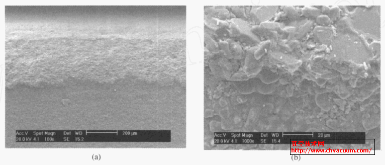 微波3kW/10min处理后金属与基体界面