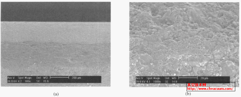 Cu/ 5SiC/ 5C/ 金属化层且增加C 粉保护后微波3 kW/10min 处理后金属与基体界面