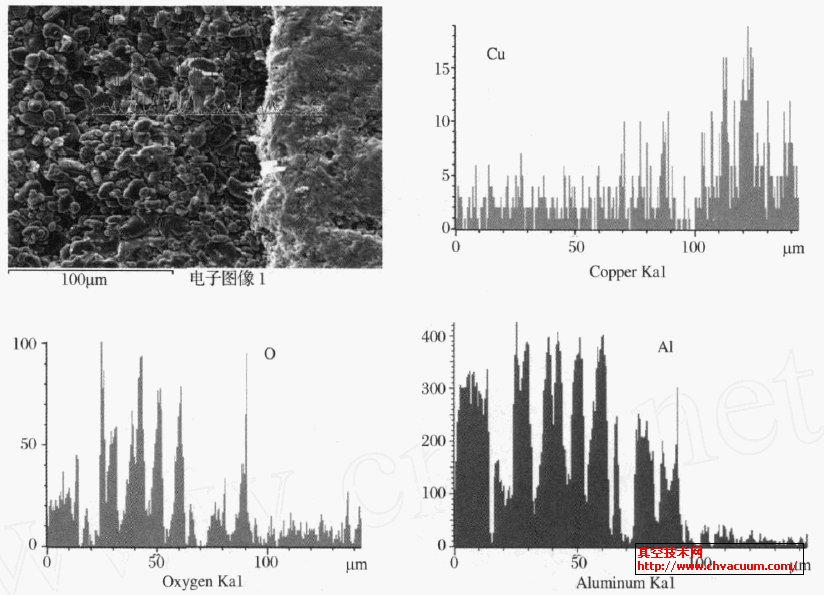 基体/金属化层界面的EDS分析