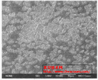 低温样品表面形态