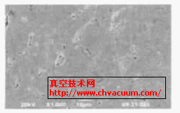 样品A 的表面SEM 图