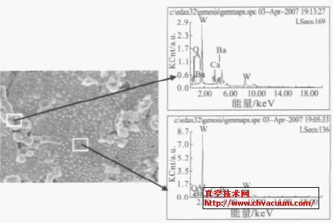 样品C 的EDS 图谱