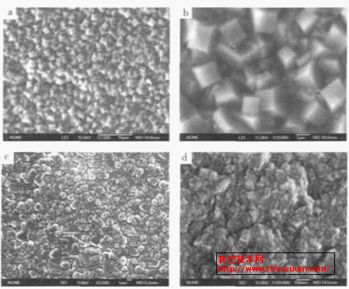 薄膜表面SEM照片