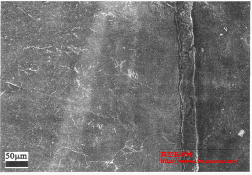 钛渗氮4h 后断面形貌SEM ×500