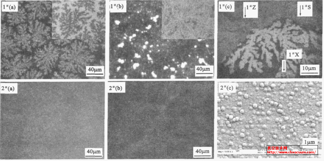 1 # 和2 # 多晶硅薄膜表面的光学显微镜和SEM照片
