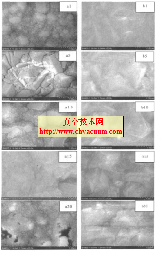 ��Ъʵ����ʯĤ��Ʒ��SEM��