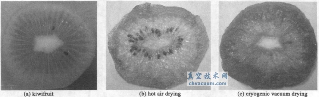 猕猴桃切片、热风干燥、真空低温干燥