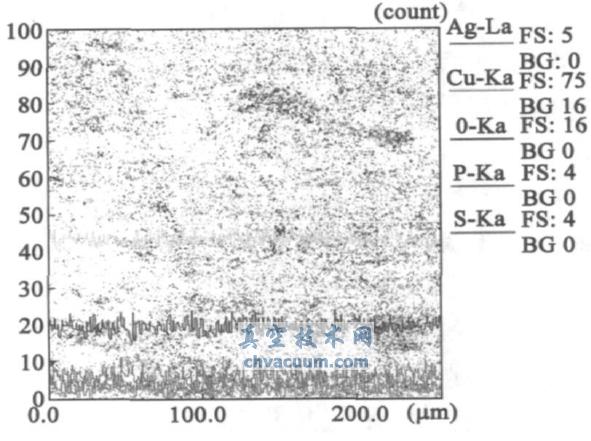 电子束真空精炼直接定向凝固制备高纯铜的金属杂质去除效果
