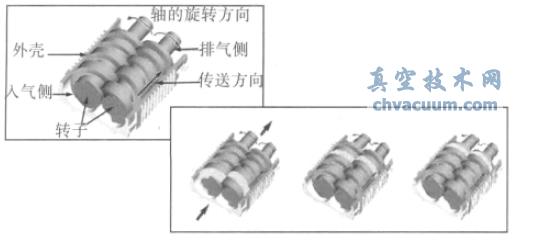 螺杆真空泵工作原理图