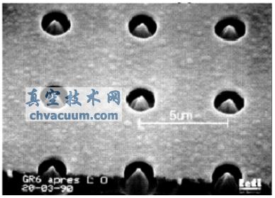 Baptist �Ľ���׶����������