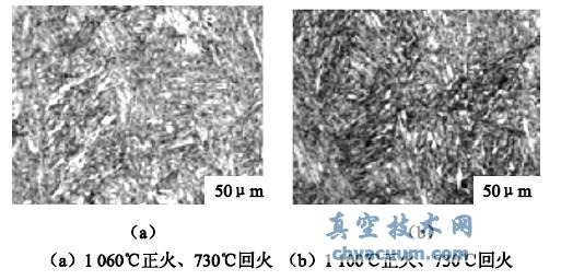 不同正火温度下的金相组织