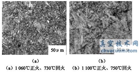 不同回火温度下的金相组织