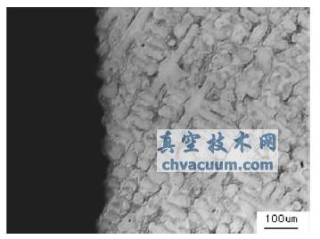 失效闸板金相照片