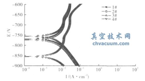 不同试样的极化曲线