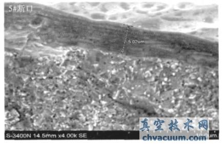  5# ��Ʒ�Ͽ���ò