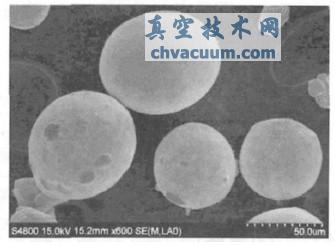 Cu ����SEM ��Ƭ