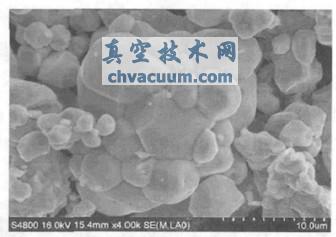 Cu2O ��ĩSEM ��Ƭ