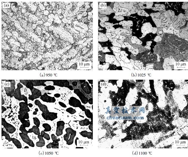 不同温度固溶处理后25Cr-7Ni-4Mo-N 钢的显微组织