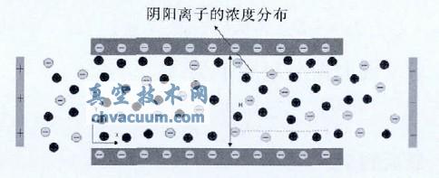 ���׹ܵ�����������Ũ�ȷֲ�ʾ��ͼ