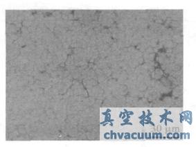 TiC/ TiN Ϳ���SEM ������ò