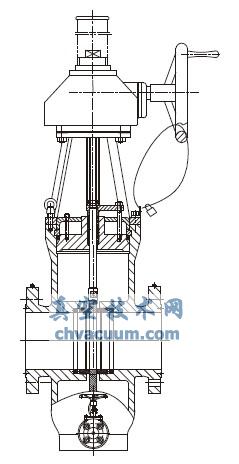 2 500 磅级抗高硫平板闸阀