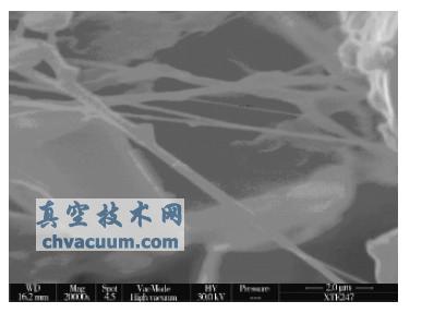 20000 ��������΢���������