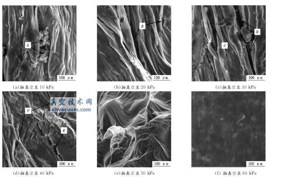 不同真空条件下保护膜表面形貌