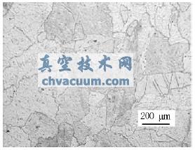 �綯������һ���Ľ�������Ƭ