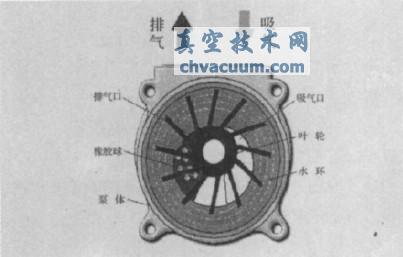 �޴�-ˮ����ձ����ڱ�ϩ�ᶡ��װ���е�Ӧ��