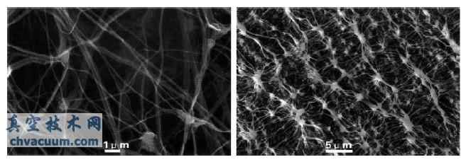 PTFE΢�ױ�Ĥ�羵��Ƭ