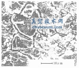 转子铝合金材料晶界损坏的SEM照片