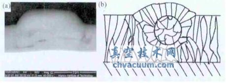 大颗粒在薄膜表面和膜层中的表面镶嵌型分布