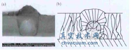大颗粒在薄膜膜层中的镶嵌生长型